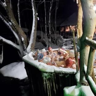 Баня в усадьбе «Заповедный остров»