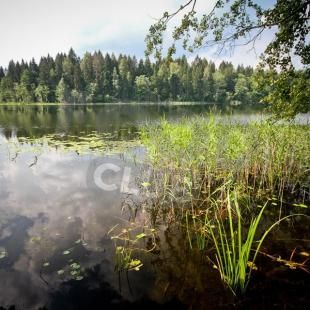 EcoClub, гостевой дом «Рыбачья с террасой»