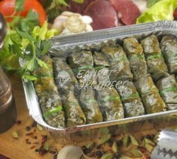 Долма Балканская